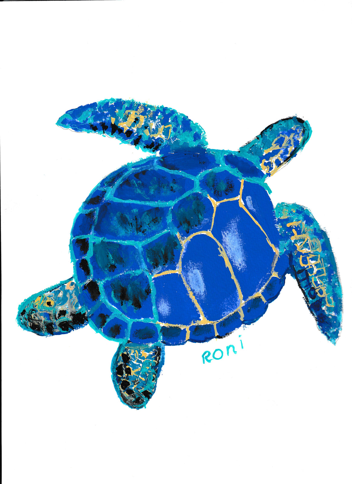 Blue Sea Turtle on White