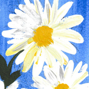Daisies & Deep Blue Sky