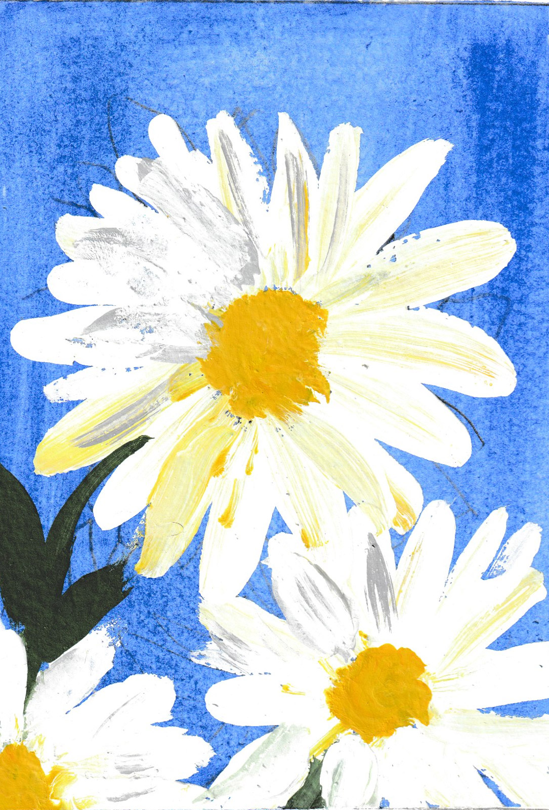 Daisies & Deep Blue Sky